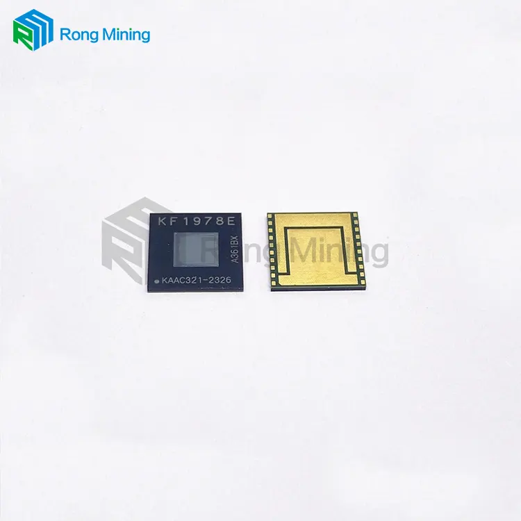 Which Mining Chips Deliver Maximum Hash Rate and Efficiency?